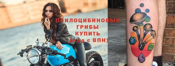 мет Елизово