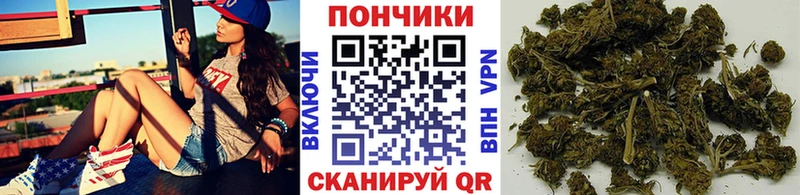 Шишки марихуана SATIVA & INDICA  Купить закладки  Красновишерск 